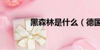 黑森林是什么(德國的山脈)