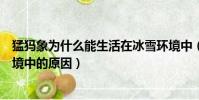 猛犸象為什么能生活在冰雪環境中(猛犸象能生活在冰雪環境中的原因)