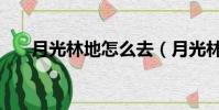 月光林地怎么去(月光林地路線介紹)