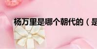 楊萬里是哪個朝代的(是南宋的詩人)
