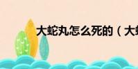 大蛇丸怎么死的(大蛇丸解釋)