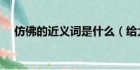 仿佛的近義詞是什么(給大家介紹一下)