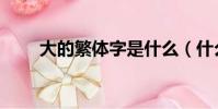 大的繁體字是什么(什么是繁體字)
