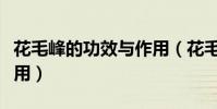 花毛峰的功效與作用(花毛峰有哪些功效與作用)