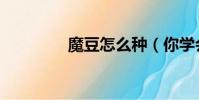 魔豆怎么種(你學會了嗎)