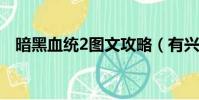 暗黑血統2圖文攻略(有興趣過來看看吧)