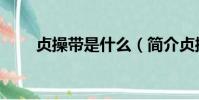 貞操帶是什么(簡介貞操帶是什么)