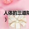 人體的三道防線是什么（人體的三道防線簡述）