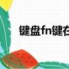 鍵盤fn鍵在哪里（電腦的鍵盤fn位置）