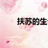 扶蘇的生母是誰（扶蘇的母親是誰）