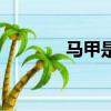 馬甲是什么梗（馬甲的意思）