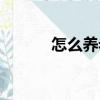 怎么養老（未來應該怎么養老）