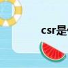 csr是什么意思（csr的含義）