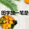 田字加一筆是什么字（田字加一筆是哪個字）