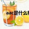 aac是什么格式（AAC格式的具體含義）