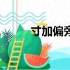 寸加偏旁組詞（來看看小學語文）