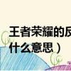 王者榮耀的反制位是什么意思（反制位具體是什么意思）