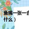 魚嘴一張一合是在干什么（魚嘴一張一合在干什么）