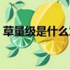 草量級是什么意思（簡介草量級是什么意思）