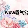 wow霸氣公會名字（好聽的游戲公會名）