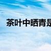 茶葉中曬青是什么意思（茶葉中曬青含義）