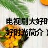 電視劇大好時光夏冰冰結局是什么（電視劇大好時光簡介）