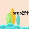 sms是什么意思（怎么理解sms）