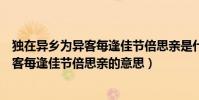 獨在異鄉為異客每逢佳節倍思親是什么意思(獨在異鄉為異客每逢佳節倍思親的意思)