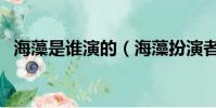 海藻是誰演的(海藻扮演者李念個人簡介)