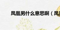 鳳凰男什么意思啊(鳳凰男的意思)