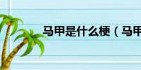 馬甲是什么梗(馬甲的意思)