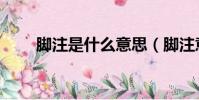 腳注是什么意思(腳注意思是什么)