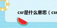 csr是什么意思(csr的含義)