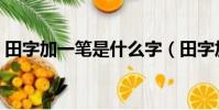 田字加一筆是什么字(田字加一筆是哪個字)