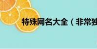 特殊網名大全(非常獨特的網名)