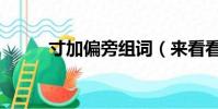 寸加偏旁組詞(來看看小學語文)