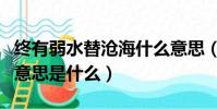 終有弱水替滄海什么意思(終有弱水替滄海的意思是什么)