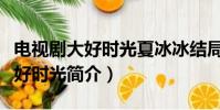 電視劇大好時光夏冰冰結局是什么(電視劇大好時光簡介)