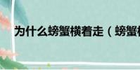 為什么螃蟹橫著走(螃蟹橫著走的原因)