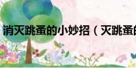 消滅跳蚤的小妙招(滅跳蚤的八種有效方法)