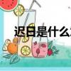 遲日是什么意思（怎么理解遲日的意思）