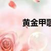 黃金甲歌詞（黃金甲歌詞是什么）