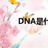 DNA是什么意思啊（DNA的解釋）