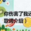 你傷害了我還一笑而過下一句（一笑而過完整歌詞介紹）