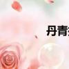 丹青指什么（丹青的意思）