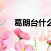 葛朗臺什么意思（葛朗臺的性格如何）