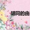 胡同的由來（關于胡同的由來簡介）