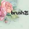brush怎么讀（英語brush怎么讀）
