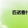 匹諾曹什么意思（匹諾曹的故事）