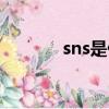 sns是什么意思（sns的含義）